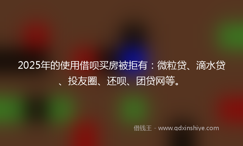 2025年的使用借呗买房被拒有：微粒贷、滴水贷、投友圈、还呗、团贷网等。