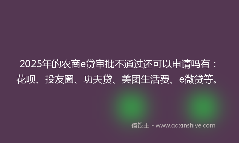 2025年的农商e贷审批不通过还可以申请吗有：花呗、投友圈、功夫贷、美团生活费、e微贷等。