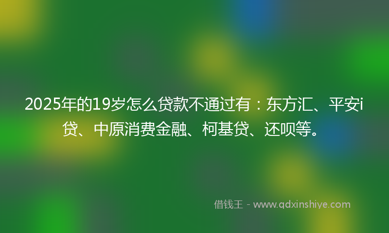 2025年的19岁怎么贷款不通过有：东方汇、平安i贷、中原消费金融、柯基贷、还呗等。