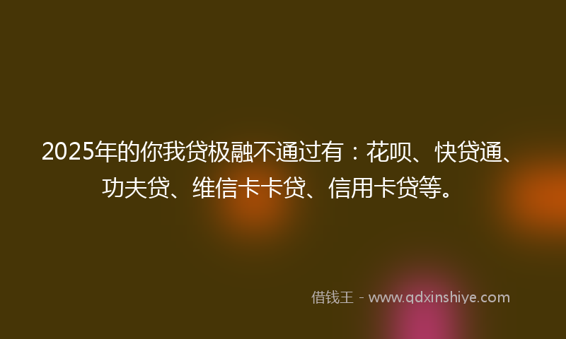 2025年的你我贷极融不通过有：花呗、快贷通、功夫贷、维信卡卡贷、信用卡贷等。