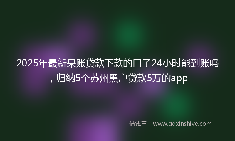 2025年最新呆账贷款下款的口子24小时能到账吗，归纳5个苏州黑户贷款5万的app