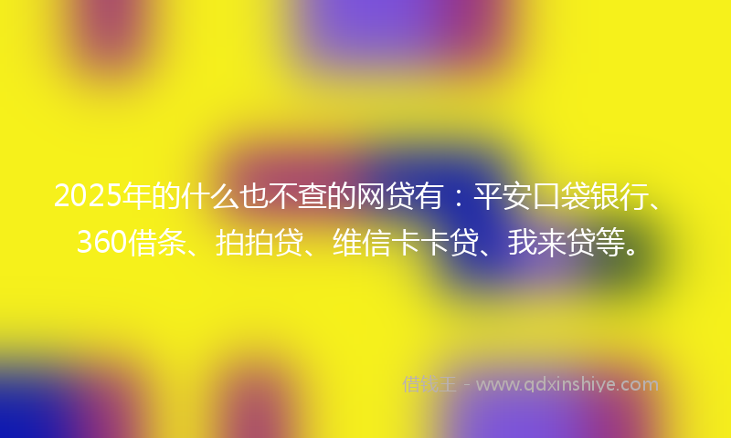 2025年的什么也不查的网贷有：平安口袋银行、360借条、拍拍贷、维信卡卡贷、我来贷等。