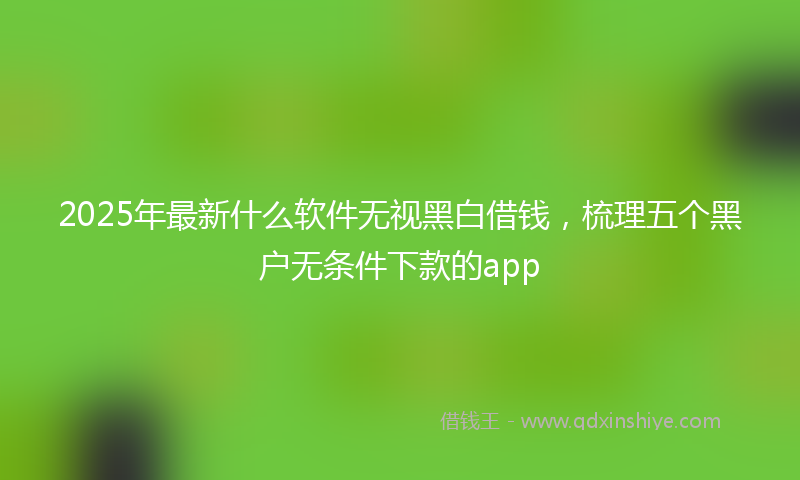 2025年最新什么软件无视黑白借钱，梳理五个黑户无条件下款的app