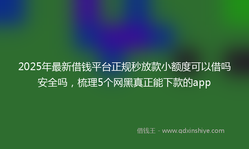 2025年最新借钱平台正规秒放款小额度可以借吗安全吗，梳理5个网黑真正能下款的app