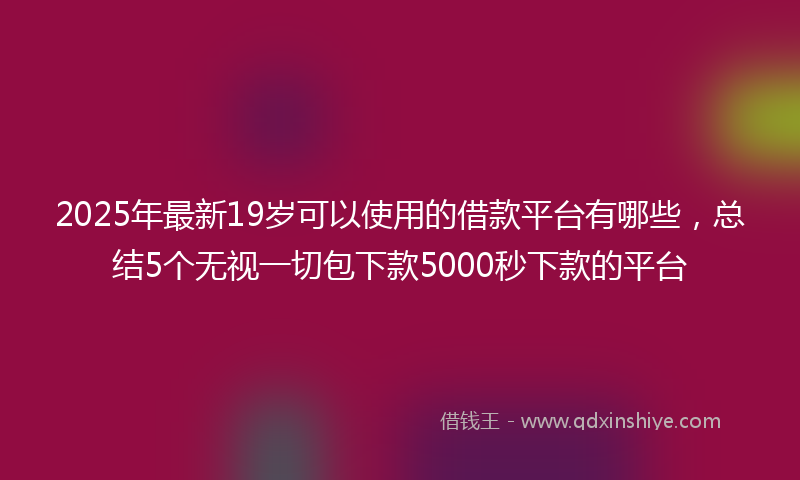2025年最新19岁可以使用的借款平台有哪些，总结5个无视一切包下款5000秒下款的平台