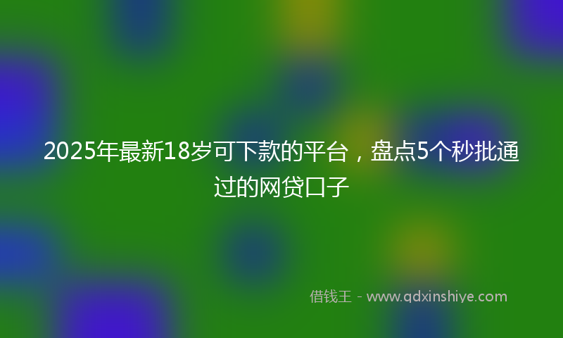 2025年最新18岁可下款的平台，盘点5个秒批通过的网贷口子