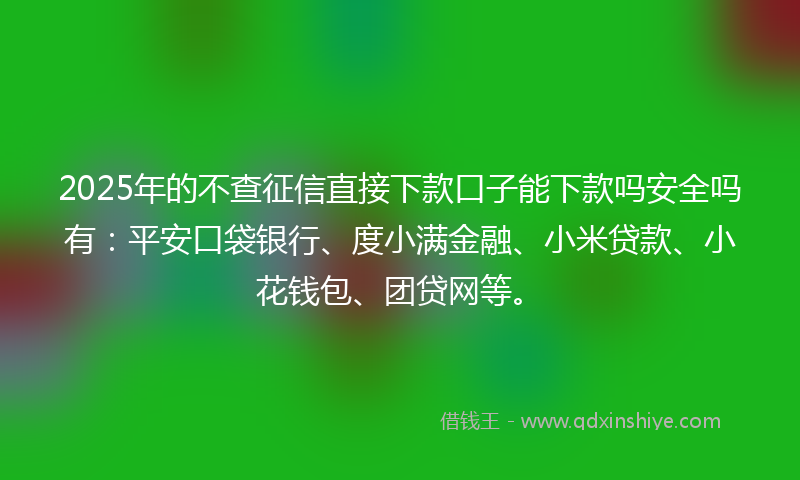 2025年的不查征信直接下款口子能下款吗安全吗有：平安口袋银行、度小满金融、小米贷款、小花钱包、团贷网等。