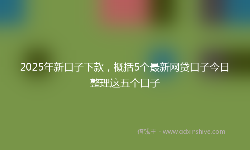 2025年新口子下款，概括5个最新网贷口子今日整理这五个口子