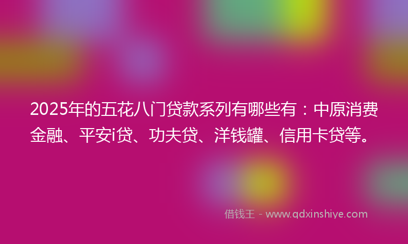 2025年的五花八门贷款系列有哪些有：中原消费金融、平安i贷、功夫贷、洋钱罐、信用卡贷等。