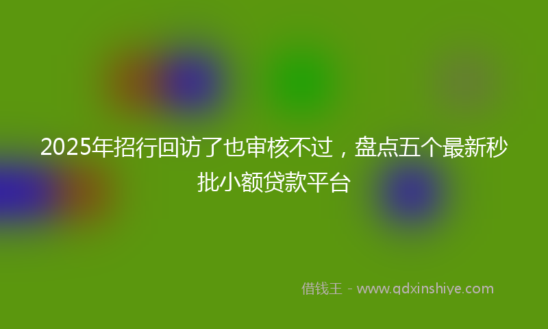 2025年招行回访了也审核不过，盘点五个最新秒批小额贷款平台