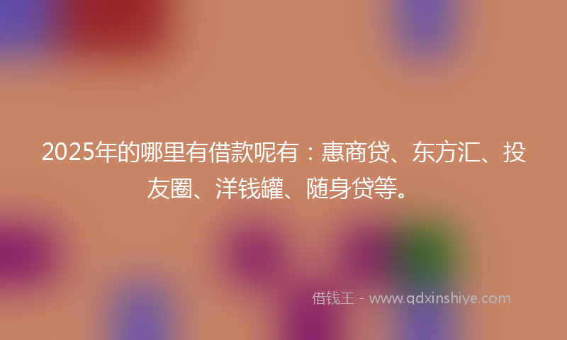 2025年的哪里有借款呢有：惠商贷、东方汇、投友圈、洋钱罐、随身贷等。