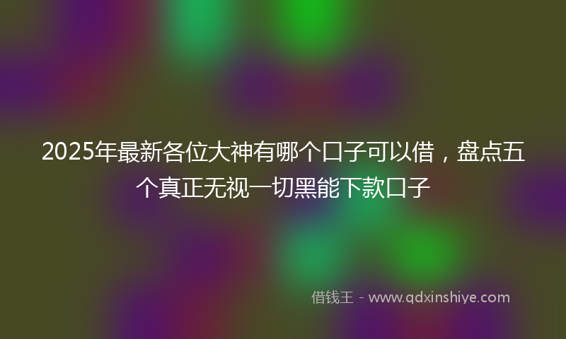 2025年最新各位大神有哪个口子可以借，盘点五个真正无视一切黑能下款口子