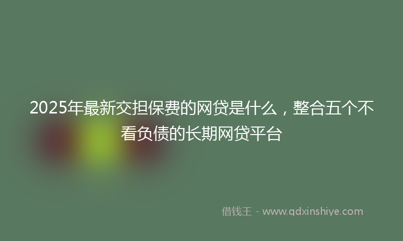 2025年最新交担保费的网贷是什么，整合五个不看负债的长期网贷平台