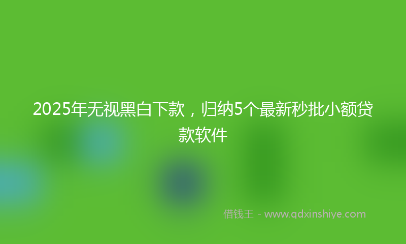 2025年无视黑白下款，归纳5个最新秒批小额贷款软件