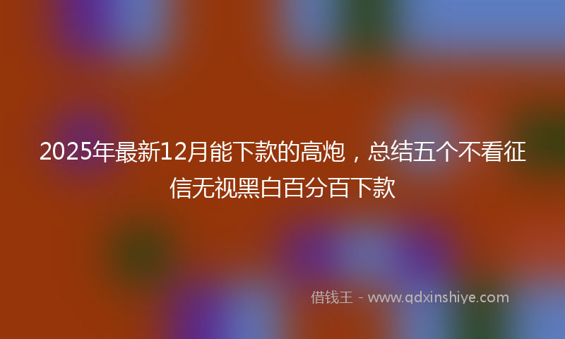 2025年最新12月能下款的高炮，总结五个不看征信无视黑白百分百下款