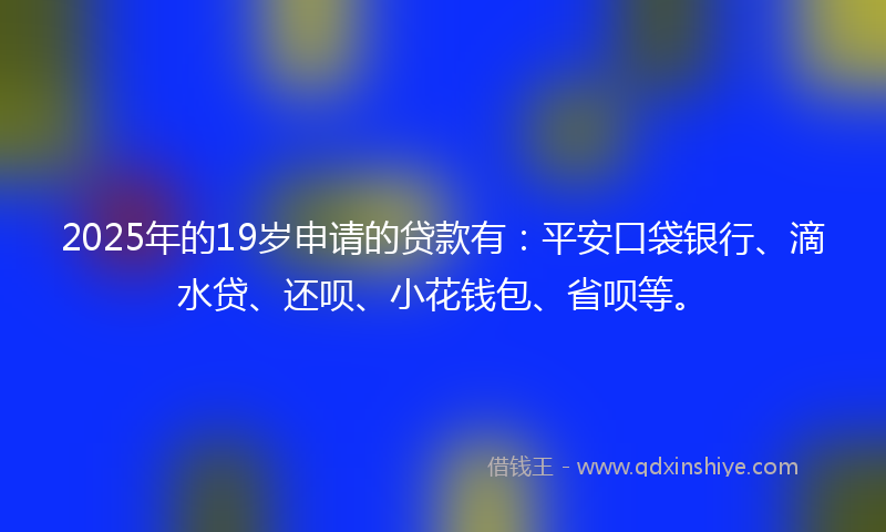 2025年的19岁申请的贷款有：平安口袋银行、滴水贷、还呗、小花钱包、省呗等。