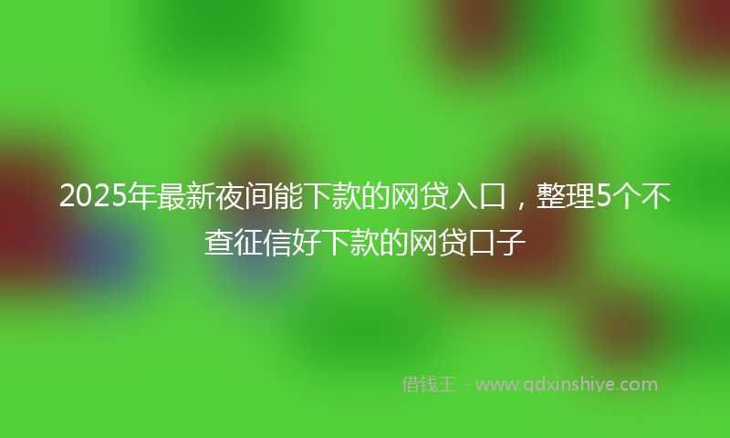 2025年最新夜间能下款的网贷入口，整理5个不查征信好下款的网贷口子