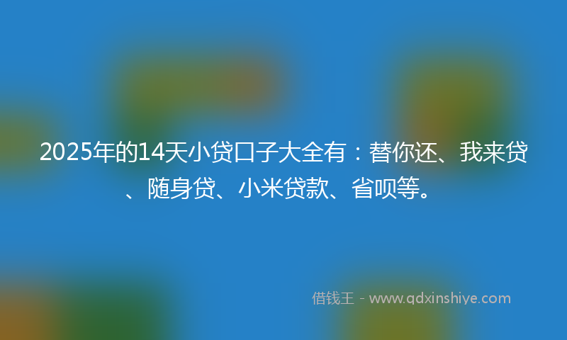 2025年的14天小贷口子大全有：替你还、我来贷、随身贷、小米贷款、省呗等。
