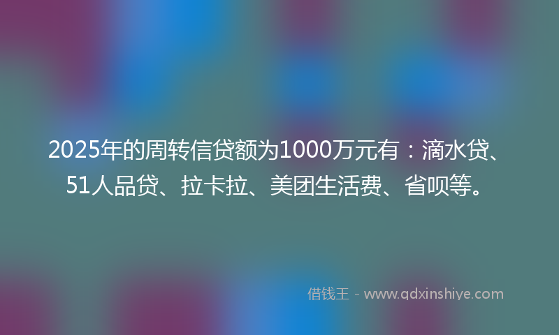 2025年的周转信贷额为1000万元有：滴水贷、51人品贷、拉卡拉、美团生活费、省呗等。