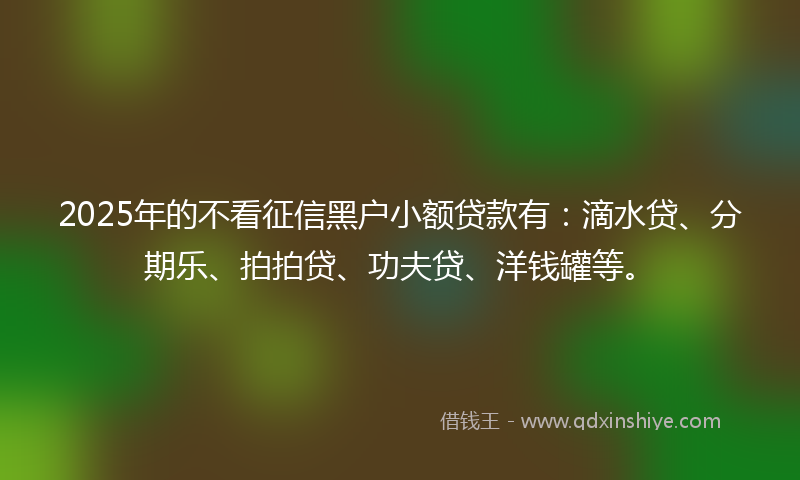 2025年的不看征信黑户小额贷款有：滴水贷、分期乐、拍拍贷、功夫贷、洋钱罐等。