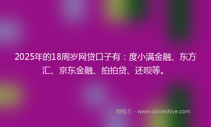 2025年的18周岁网贷口子有：度小满金融、东方汇、京东金融、拍拍贷、还呗等。
