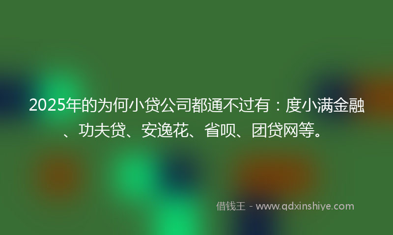 2025年的为何小贷公司都通不过有：度小满金融、功夫贷、安逸花、省呗、团贷网等。