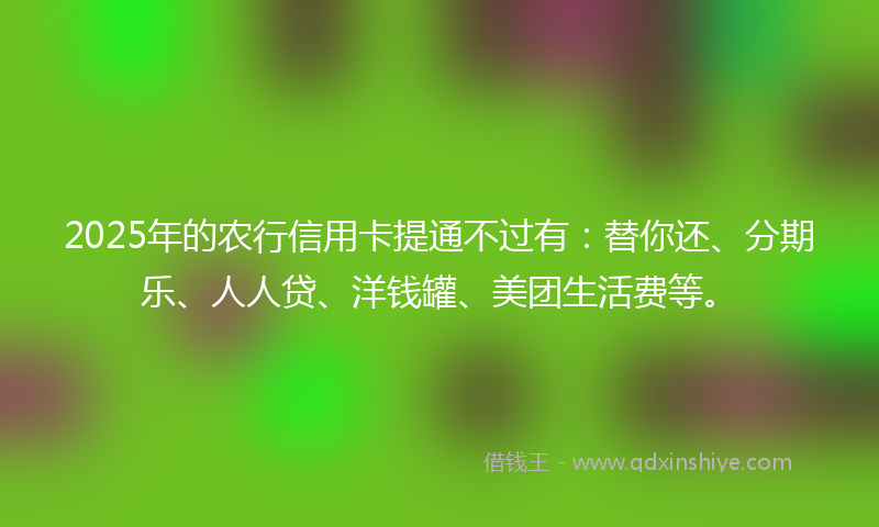 2025年的农行信用卡提通不过有：替你还、分期乐、人人贷、洋钱罐、美团生活费等。