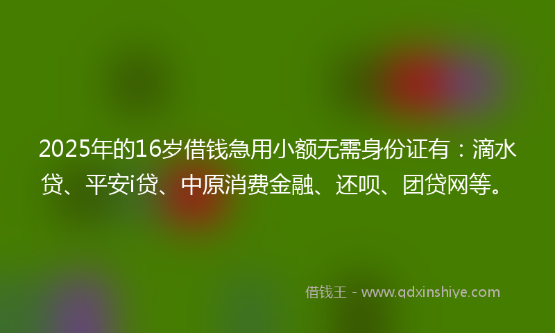 2025年的16岁借钱急用小额无需身份证有：滴水贷、平安i贷、中原消费金融、还呗、团贷网等。