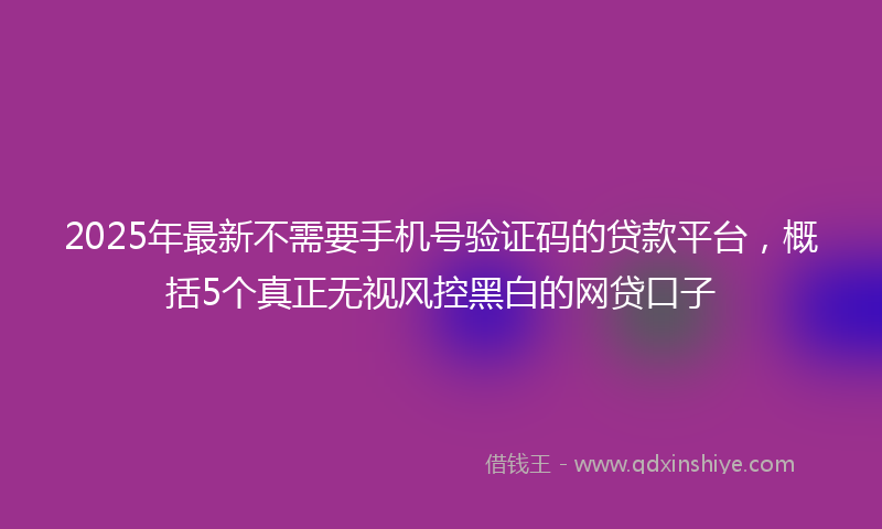 2025年最新不需要手机号验证码的贷款平台，概括5个真正无视风控黑白的网贷口子