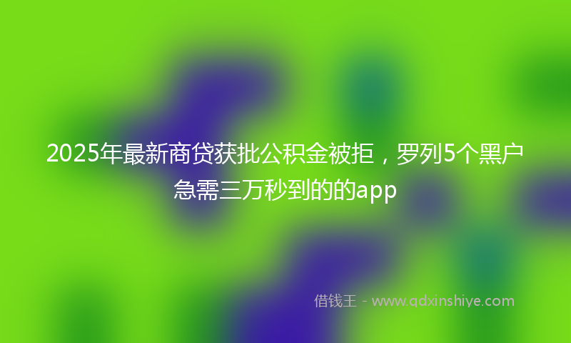 2025年最新商贷获批公积金被拒，罗列5个黑户急需三万秒到的的app