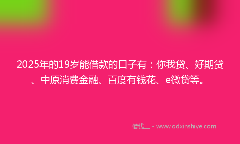 2025年的19岁能借款的口子有：你我贷、好期贷、中原消费金融、百度有钱花、e微贷等。