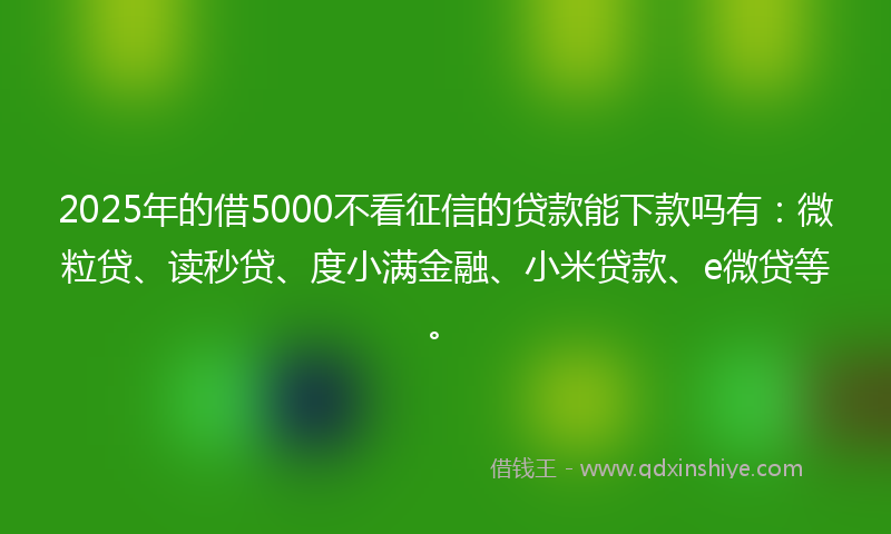 2025年的借5000不看征信的贷款能下款吗有：微粒贷、读秒贷、度小满金融、小米贷款、e微贷等。
