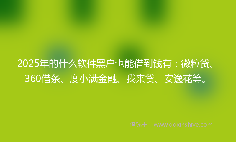 2025年的什么软件黑户也能借到钱有：微粒贷、360借条、度小满金融、我来贷、安逸花等。