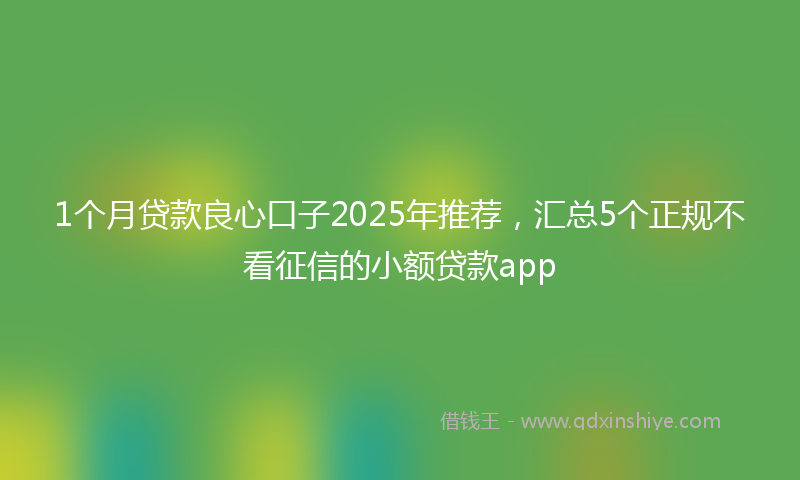1个月贷款良心口子2025年推荐，汇总5个正规不看征信的小额贷款app