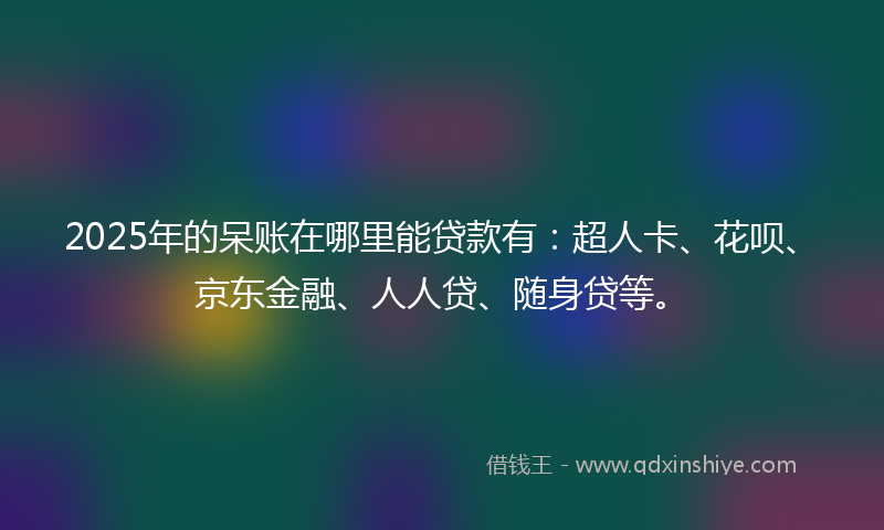 2025年的呆账在哪里能贷款有：超人卡、花呗、京东金融、人人贷、随身贷等。