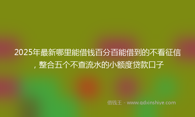 2025年最新哪里能借钱百分百能借到的不看征信，整合五个不查流水的小额度贷款口子