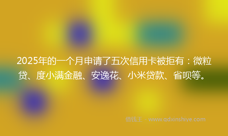 2025年的一个月申请了五次信用卡被拒有：微粒贷、度小满金融、安逸花、小米贷款、省呗等。