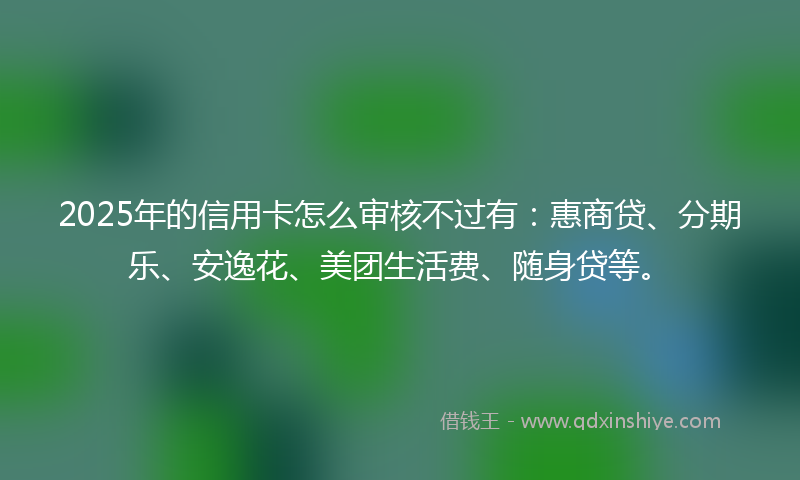 2025年的信用卡怎么审核不过有：惠商贷、分期乐、安逸花、美团生活费、随身贷等。