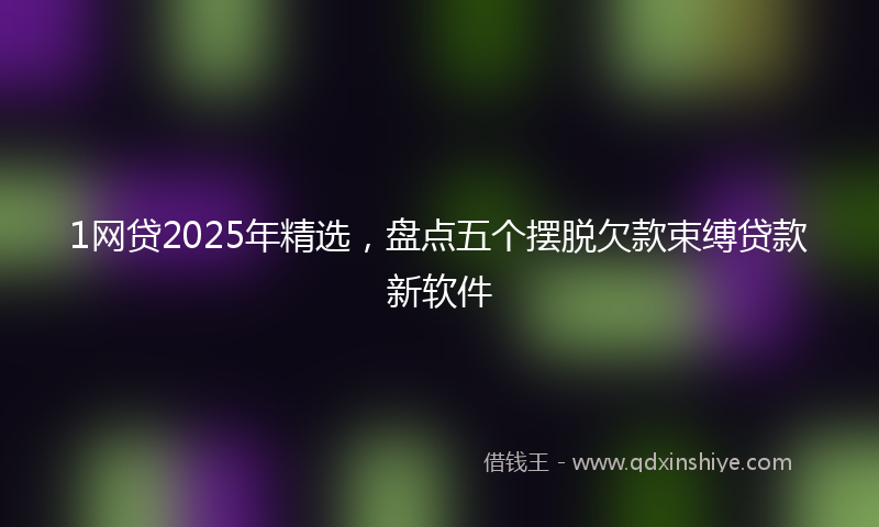 1网贷2025年精选，盘点五个摆脱欠款束缚贷款新软件