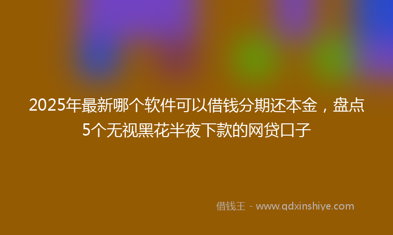 2025年最新哪个软件可以借钱分期还本金，盘点5个无视黑花半夜下款的网贷口子
