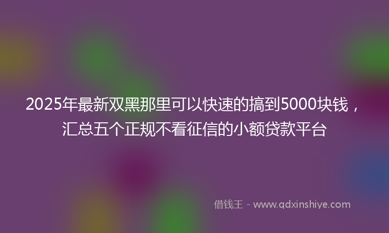 2025年最新双黑那里可以快速的搞到5000块钱，汇总五个正规不看征信的小额贷款平台