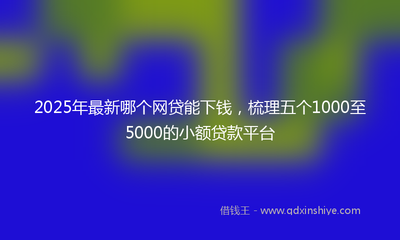 2025年最新哪个网贷能下钱，梳理五个1000至5000的小额贷款平台