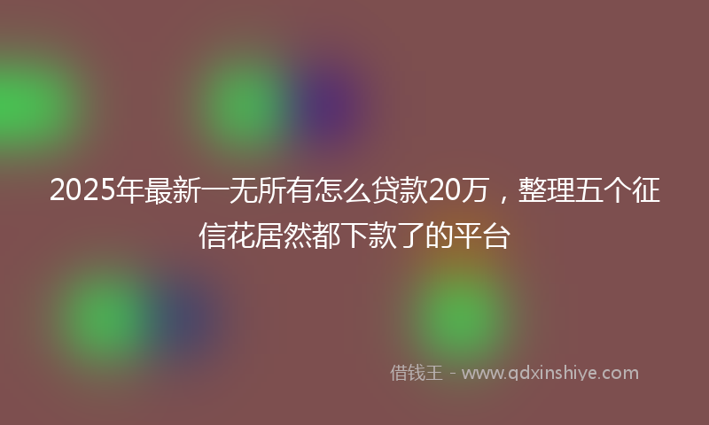 2025年最新一无所有怎么贷款20万，整理五个征信花居然都下款了的平台