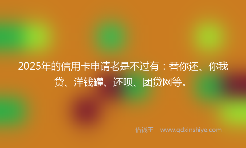 2025年的信用卡申请老是不过有：替你还、你我贷、洋钱罐、还呗、团贷网等。