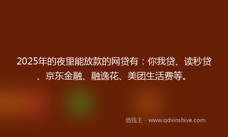 2025年的夜里能放款的网贷有：你我贷、读秒贷、京东金融、融逸花、美团生活费等。