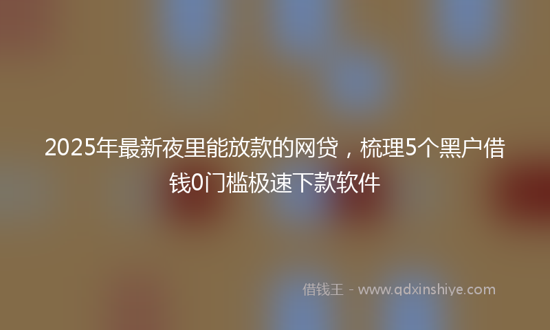 2025年最新夜里能放款的网贷，梳理5个黑户借钱0门槛极速下款软件