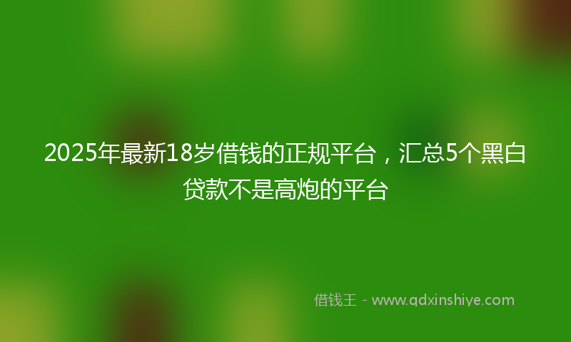2025年最新18岁借钱的正规平台，汇总5个黑白贷款不是高炮的平台