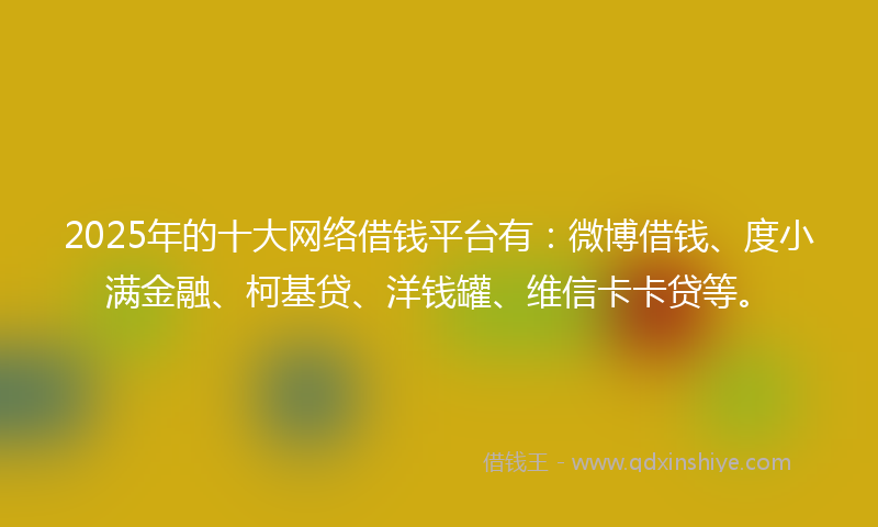 2025年的十大网络借钱平台有：微博借钱、度小满金融、柯基贷、洋钱罐、维信卡卡贷等。