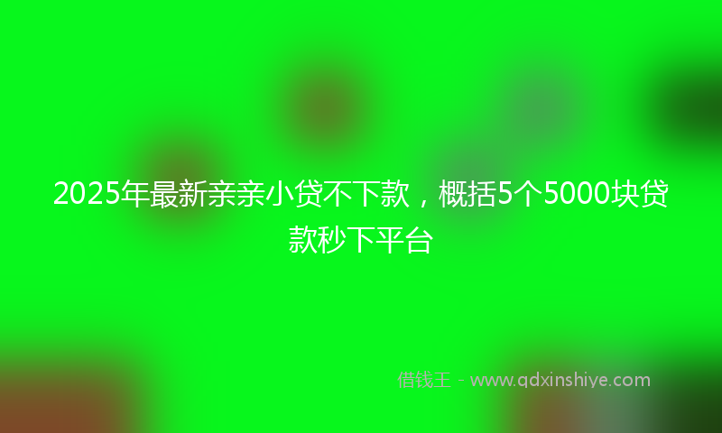 2025年最新亲亲小贷不下款，概括5个5000块贷款秒下平台