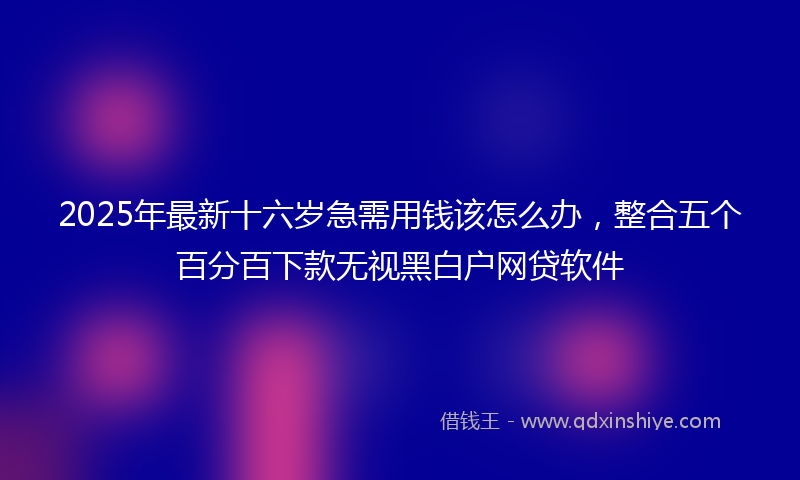 2025年最新十六岁急需用钱该怎么办，整合五个百分百下款无视黑白户网贷软件